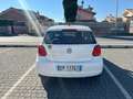 Volkswagen Polo Polo V 2009 5p 1.2 tdi Trendline Bianco - thumbnail 4