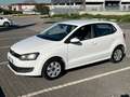 Volkswagen Polo Polo V 2009 5p 1.2 tdi Trendline Bianco - thumbnail 1