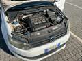 Volkswagen Polo Polo V 2009 5p 1.2 tdi Trendline Bianco - thumbnail 6