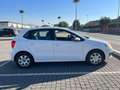 Volkswagen Polo Polo V 2009 5p 1.2 tdi Trendline Bianco - thumbnail 5