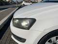 Volkswagen Polo Polo V 2009 5p 1.2 tdi Trendline Bianco - thumbnail 12