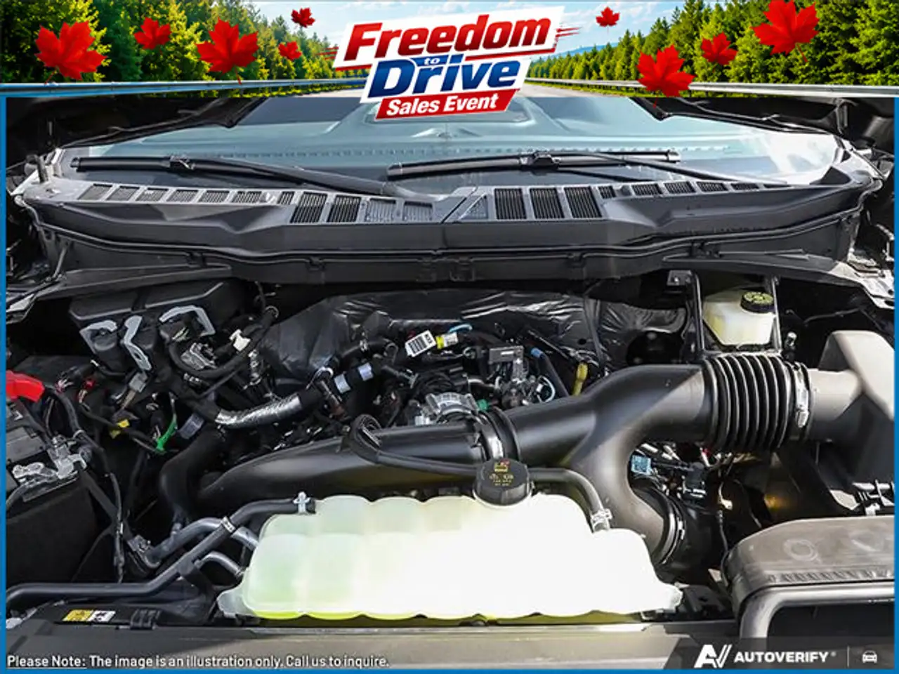 Ford F 150 fotografie Ford F 150