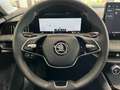 Skoda Superb TDI 110kW Selection ACC Navi 5JG 360° Gris - thumbnail 11