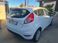 Ford Fiesta Fiesta VI 2013 3p 1.5 tdci Business 75cv E6 Bianco - thumbnail 6