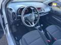Kia Picanto 1.0 12V 5 porte Urban Bianco - thumbnail 11