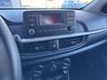 Kia Picanto 1.0 12V 5 porte Urban Bianco - thumbnail 15