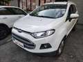 Ford EcoSport 1.5 TDCi 95 CV Titanium NEOPATENTATI-FINANZIABILE Weiß - thumbnail 2