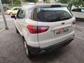 Ford EcoSport 1.5 TDCi 95 CV Titanium NEOPATENTATI-FINANZIABILE Weiß - thumbnail 10