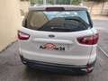 Ford EcoSport 1.5 TDCi 95 CV Titanium NEOPATENTATI-FINANZIABILE Weiß - thumbnail 9