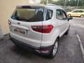 Ford EcoSport 1.5 TDCi 95 CV Titanium NEOPATENTATI-FINANZIABILE Weiß - thumbnail 8