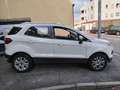 Ford EcoSport 1.5 TDCi 95 CV Titanium NEOPATENTATI-FINANZIABILE Weiß - thumbnail 7