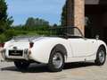 Austin Healey SPRITE Blanc - thumbnail 26