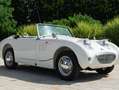 Austin Healey SPRITE Blanc - thumbnail 17