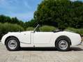 Austin Healey SPRITE Blanc - thumbnail 18