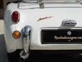 Austin Healey SPRITE Blanc - thumbnail 23