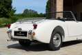 Austin Healey SPRITE Blanc - thumbnail 27