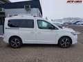 Volkswagen Caddy Style 2.0 TDI DSG 90 kW (122 PS), Doppelkupplun... Weiß - thumbnail 6