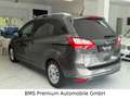 Ford Grand C-Max Grand C-MAX 7 Sitzer Gris - thumbnail 9