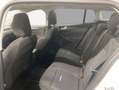 Ford Focus Turnier 1.5 Diesel Aut. ACTIVE X AHZV Pano Weiß - thumbnail 7