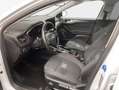 Ford Focus Turnier 1.5 Diesel Aut. ACTIVE X AHZV Pano Weiß - thumbnail 6