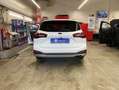 Ford Focus Turnier 1.5 Diesel Aut. ACTIVE X AHZV Pano Weiß - thumbnail 13