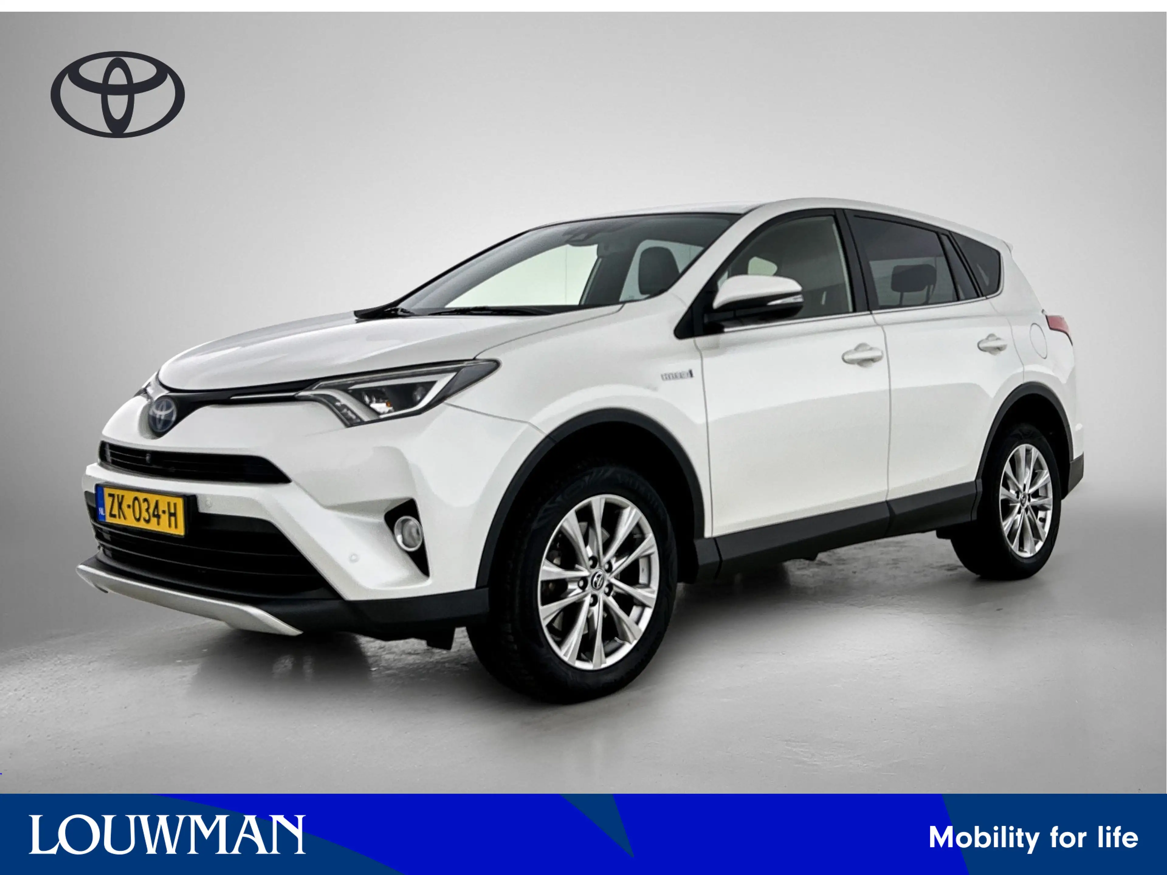 Toyota RAV 4 2.5 Hybrid Executive Business | Trekhaak | Navigat