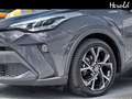 Toyota C-HR Hybrid Team D Grau - thumbnail 4