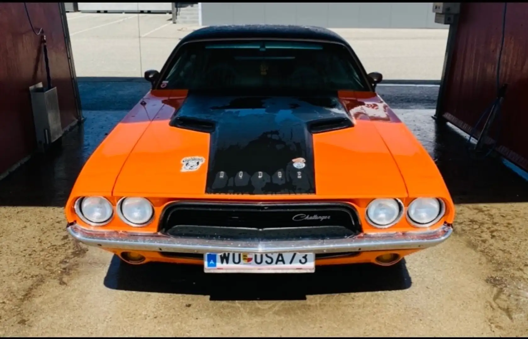 Dodge Sonstige Dodge Challenger - 1