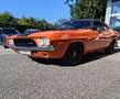 Dodge Sonstige Dodge Challenger - thumbnail 10