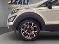 Ford EcoSport EcoSport 5p 1.0 EcoBoost 125cv 6m Start&Stop  Act Blanc - thumbnail 9