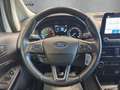 Ford EcoSport EcoSport 5p 1.0 EcoBoost 125cv 6m Start&Stop  Act Blanc - thumbnail 15