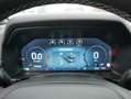 Ford Ranger Platinum DoKa 3,0l V6 e-4WD Rollo AHZV Gris - thumbnail 11