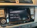 Skoda Fabia SC Blau - thumbnail 19