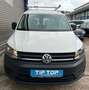 Volkswagen Caddy Nfz Maxi Kasten BMT*SORTIMO*AHK*KLIMA* Weiß - thumbnail 8