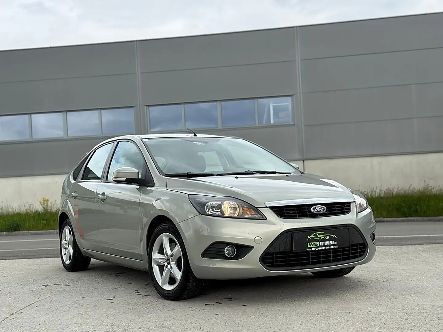 Ford Focus Ecosport 1,4 Grau - 2