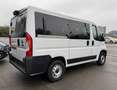 Fiat Ducato PANORMARA 9 POSTI 2.3 MJET 140 CV IVA ESPOSTA Bianco - thumbnail 4
