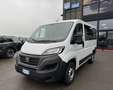 Fiat Ducato PANORMARA 9 POSTI 2.3 MJET 140 CV IVA ESPOSTA Bianco - thumbnail 1