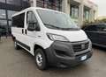 Fiat Ducato PANORMARA 9 POSTI 2.3 MJET 140 CV IVA ESPOSTA Bianco - thumbnail 3