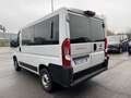 Fiat Ducato PANORMARA 9 POSTI 2.3 MJET 140 CV IVA ESPOSTA Bianco - thumbnail 6