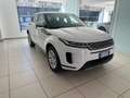 Land Rover Range Rover Evoque Range Rover Evoque II 2019 2.0d i4 163 cv Blanc - thumbnail 2
