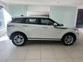 Land Rover Range Rover Evoque Range Rover Evoque II 2019 2.0d i4 163 cv Blanc - thumbnail 7