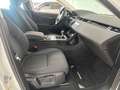 Land Rover Range Rover Evoque Range Rover Evoque II 2019 2.0d i4 163 cv Blanc - thumbnail 19