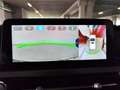 DR Automobiles DR5.0 2022 1.5 turbo Gpl 149cv cvt Bianco - thumbnail 12