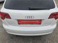 Audi A3 SB 1,6 Limited Edition Lim. Pickerl+Service-NEU... Weiß - thumbnail 40