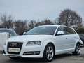 Audi A3 SB 1,6 Limited Edition Lim. Pickerl+Service-NEU... Weiß - thumbnail 2
