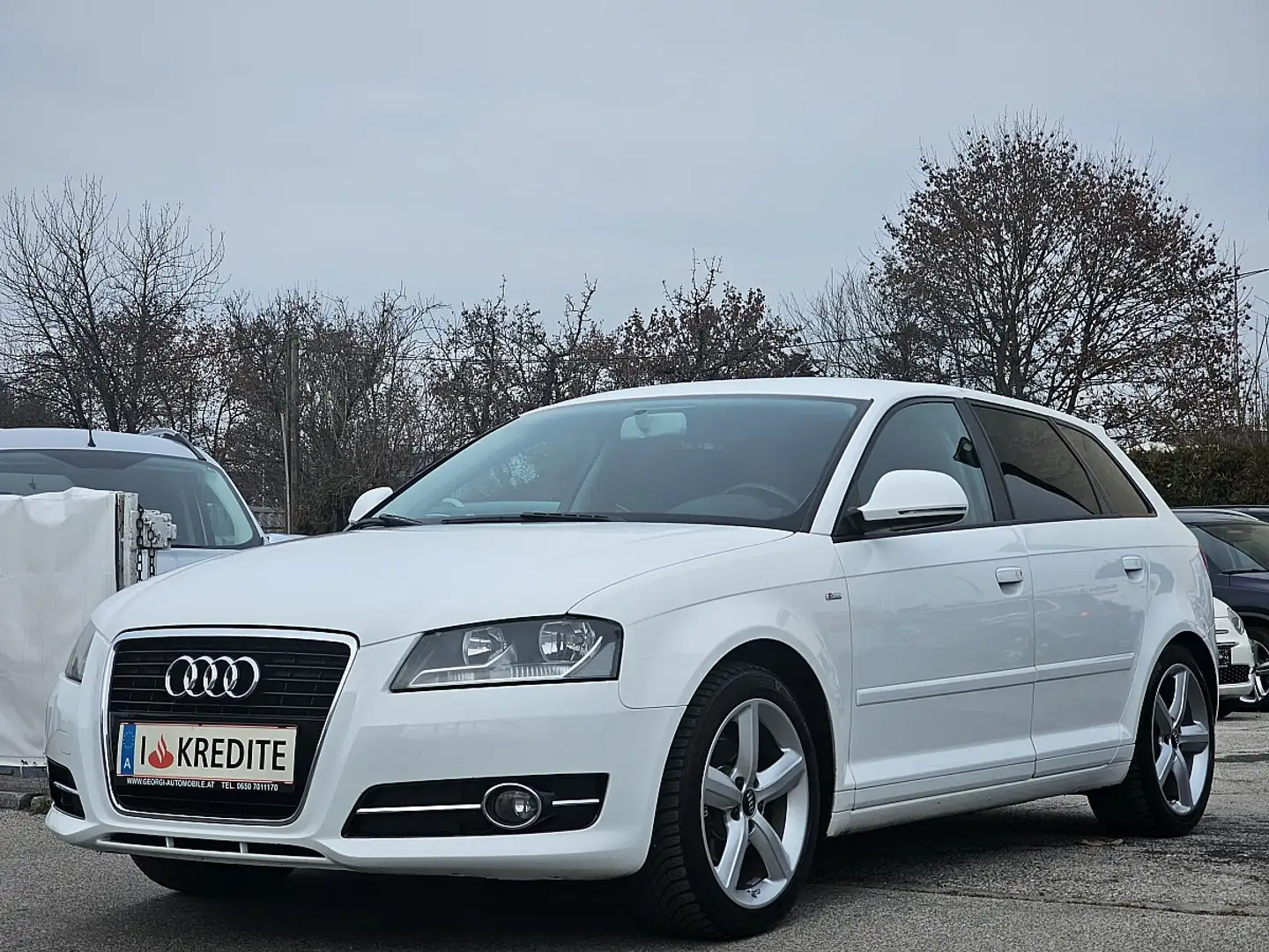 Audi A3 SB 1,6 Limited Edition Lim. Pickerl+Service-NEU... Weiß - 2