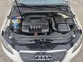 Audi A3 SB 1,6 Limited Edition Lim. Pickerl+Service-NEU... Weiß - thumbnail 13