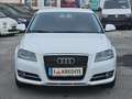 Audi A3 SB 1,6 Limited Edition Lim. Pickerl+Service-NEU... Weiß - thumbnail 3