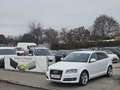 Audi A3 SB 1,6 Limited Edition Lim. Pickerl+Service-NEU... Weiß - thumbnail 9