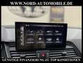 Audi Q5 35 TDI S-Line S-Tronic Kamera/20/Navi/LED/ S-Line Grau - thumbnail 19
